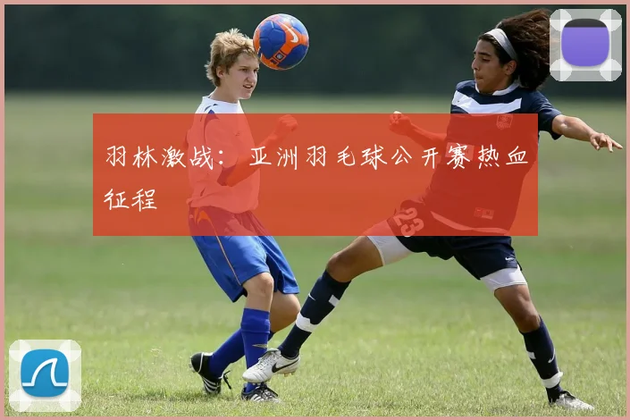 羽林激战：亚洲羽毛球公开赛热血征程