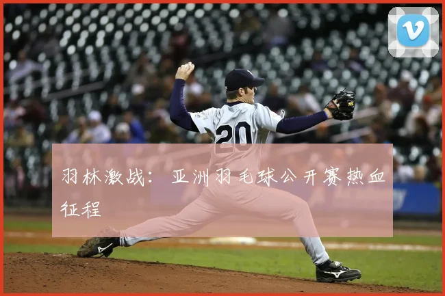 羽林激战：亚洲羽毛球公开赛热血征程